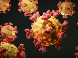 Skin Cancer Diagnosis