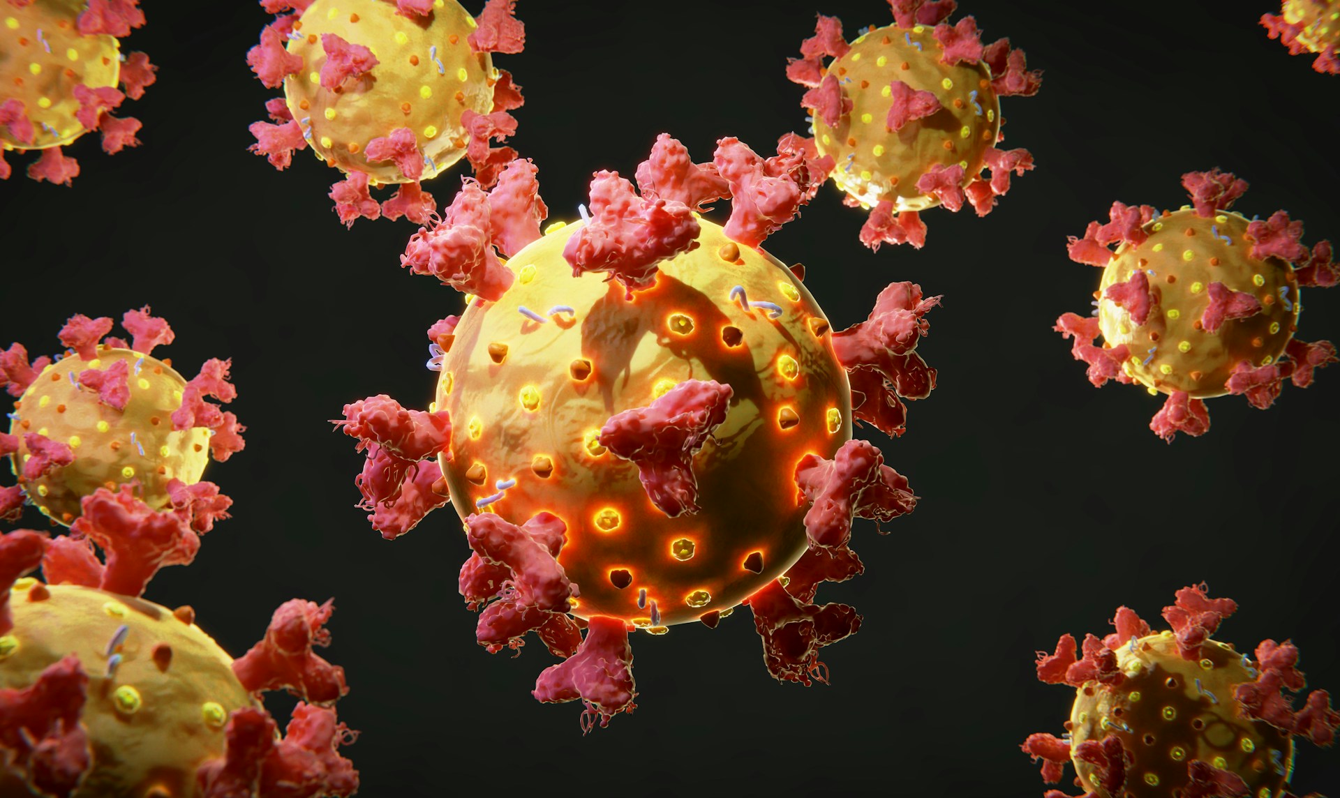 Skin Cancer Diagnosis